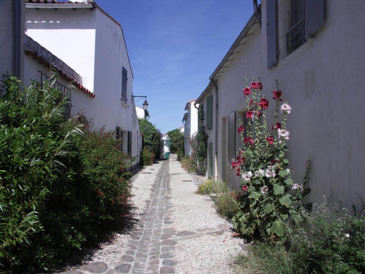 Appartement Liseron Saint-Martin-de-Re ภายนอก รูปภาพ
